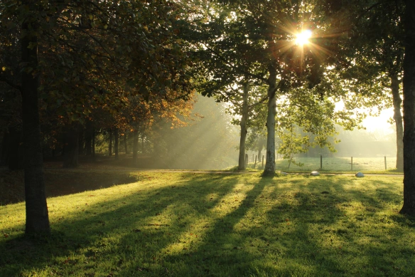 Słoneczny park